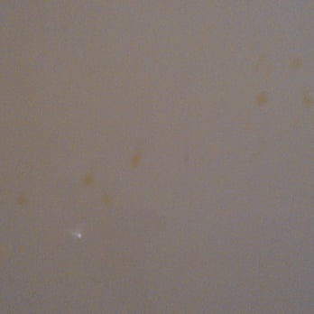 Motel 6 - our bathroom wall (room 141) - Hotels Near Me - Newport, Rhode Island