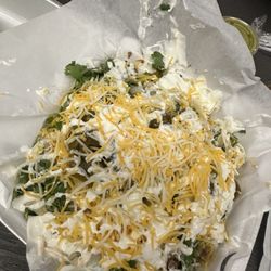Carne Asada Fries