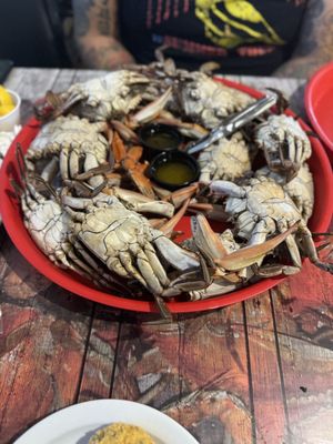 Zydeco's Restaurant by null