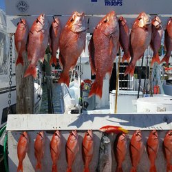 Destin Fishing - 3556