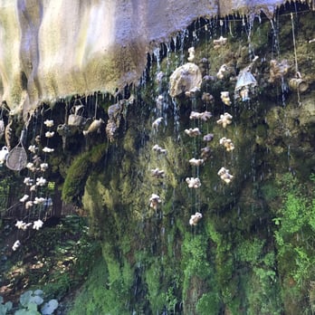 Mother Shipton's Cave - Amusement Parks Near Me - Knaresborough, NYK