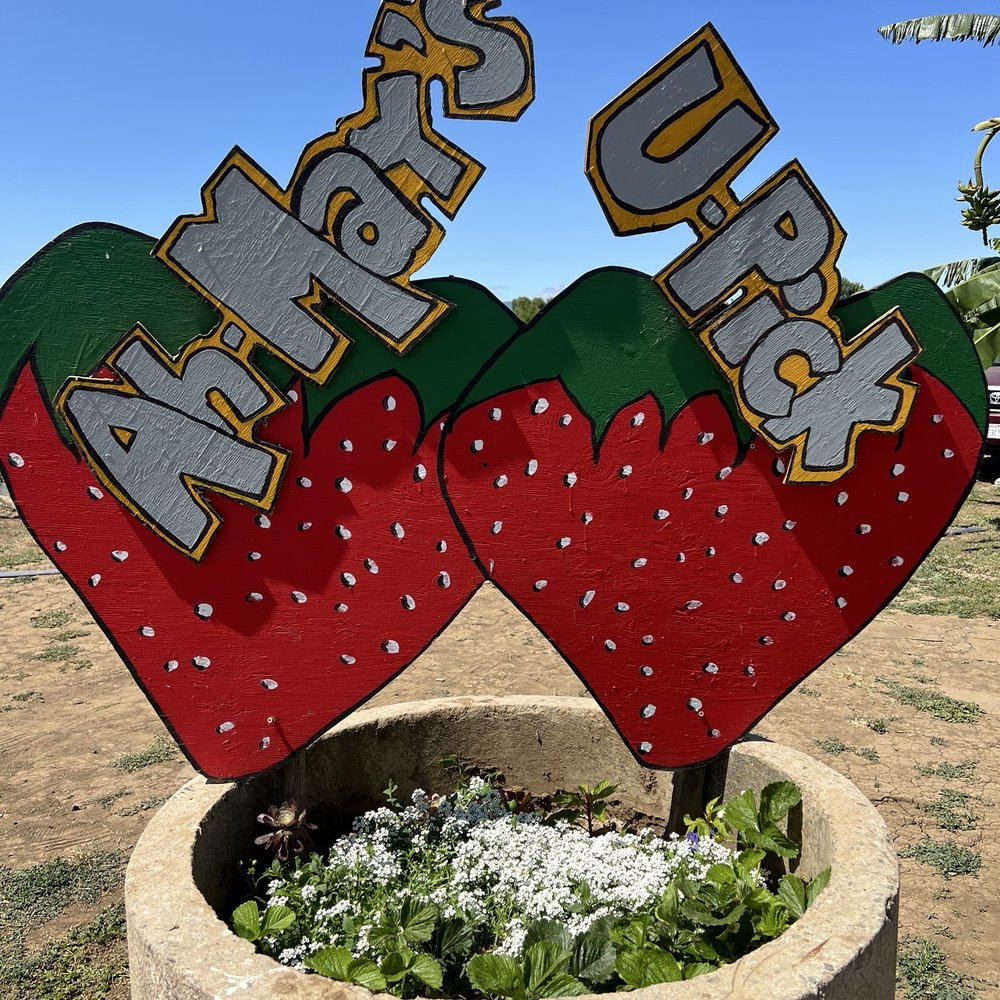 Ah-May U-Pick - Pick Your Own Farms Near Me - Brentwood, California Ah-May U-Pick - Pick Your Own Farms Near Me - Brentwood, California