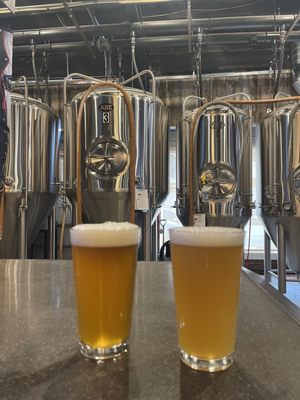 Wichita Falls Brewing Company by null