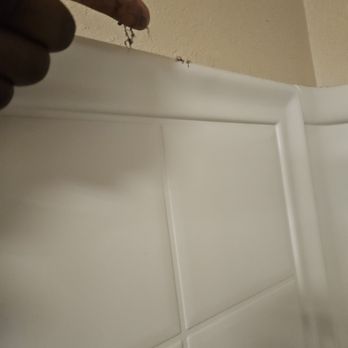 SPRUSE Cleaning - Shower edge - Home Cleaning Near Me
