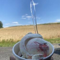 The Nesting Box Market And Creamery - Two scoops of Strawberry Cheesecake and Cookies and cream!