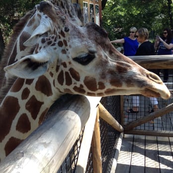 Memphis Zoo - The Memphis zoo - Zoos Near Me - Memphis, Tennessee Memphis Zoo - The Memphis zoo - Zoos Near Me - Memphis, Tennessee