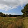 Beach Plum Farm