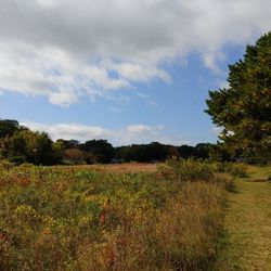 Beach Plum Farm - View.