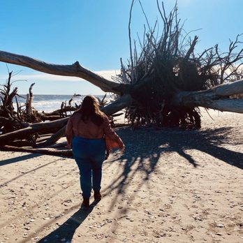 Botany Bay Plantation - Parks Near Me - Edisto Island, South Carolina