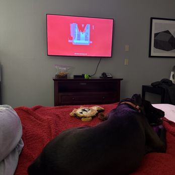Inn at Seaside - Dog friendly - Hotels Near Me - Seaside, Oregon