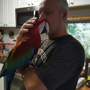 Northwest Parrot Rescue - Pet Adoption Near Me - Vancouver, Washington Northwest Parrot Rescue - Pet Adoption Near Me - Vancouver, Washington