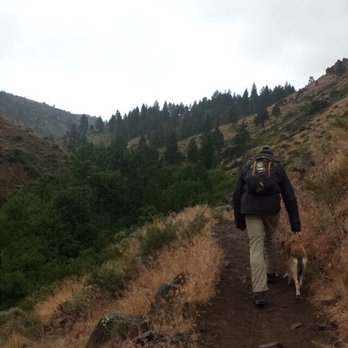 Hunter Creek Waterfall Trail - Look at that scenery! Gorgeous! - Hiking Near Me Hunter Creek Waterfall Trail - Look at that scenery! Gorgeous! - Hiking Near Me