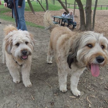 Bo's Run - Dog Parks Near Me - Hoffman Estates, Illinois