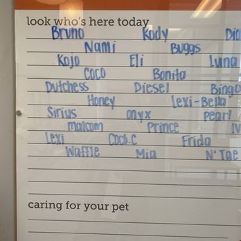 Banfield Pet Hospital - Veterinarians Near Me - Chino, California Banfield Pet Hospital - Veterinarians Near Me - Chino, California