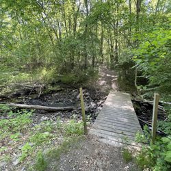 Handy Pond Preserve