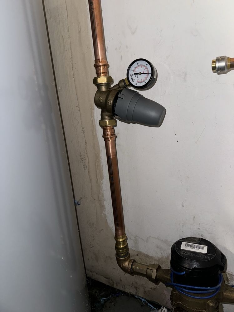 Slide of American Rooter