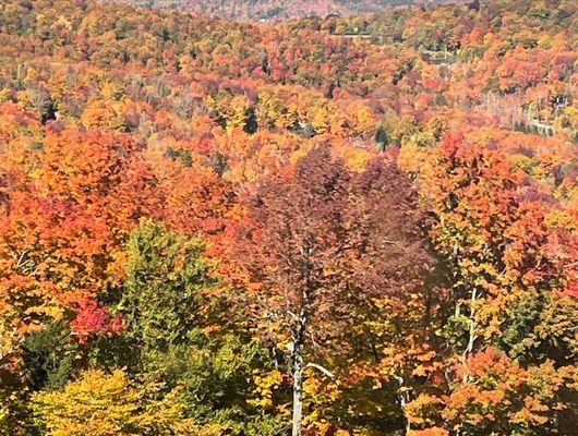 Stratton Mountain Resort by null