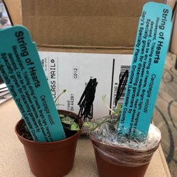 What I received but didn't order What I received but didn't order