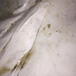 1 800 Busydog 29 Photos 110 Reviews Waterproofing 1600 Providence Hwy Walpole Ma United States Phone Number Waterproofing 1600 Providence Hwy