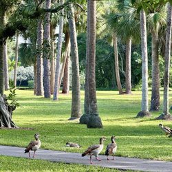 Parque Placido