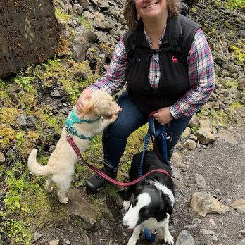 PAVLOV Dog Training - Essie with her adopted sister, Rose, and the other dog is smaller still! - Pet Training Near Me