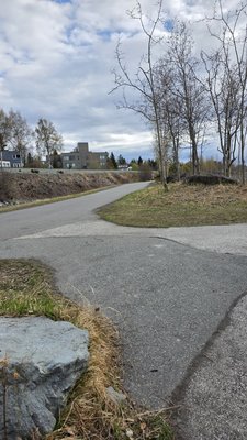 Tony Knowles Coastal Trail by null