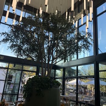 Luxe Flower Bar - Coffee & Tea Near Me - Morgan Hill, California Luxe Flower Bar - Coffee & Tea Near Me - Morgan Hill, California