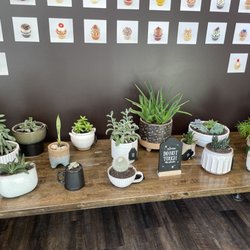 Plant decor at Gigi's Cupcakes