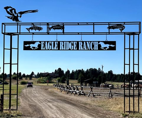 YELLOWSTONE HORSES AT EAGLE RIDGE RANCH - Updated May 2024 - 128 Photos ...