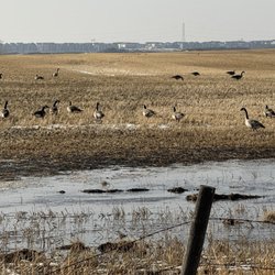Yellow Hook Towing - Near Strathmore