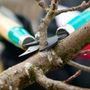 Photo of Mills Tree Care