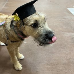 The graduate! The graduate!