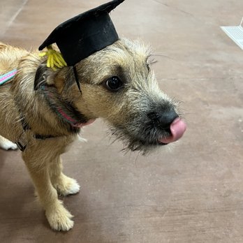 PetSmart - The graduate! - Pet Stores Near Me - Encinitas, California PetSmart - The graduate! - Pet Stores Near Me - Encinitas, California