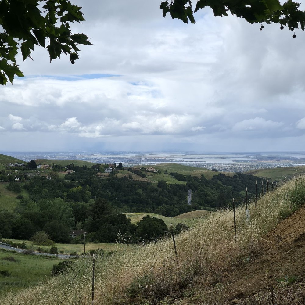 Big Dog Vineyards - Venues & Event Spaces Near Me - Milpitas, California Big Dog Vineyards - Venues & Event Spaces Near Me - Milpitas, California