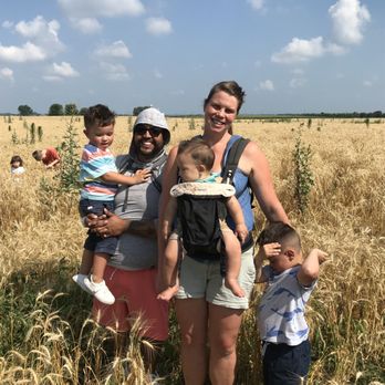 Old Windmill Farm - Wheat field family photo opp. - Attraction Farms Near Me - Ronks, Pennsylvania Old Windmill Farm - Wheat field family photo opp. - Attraction Farms Near Me - Ronks, Pennsylvania