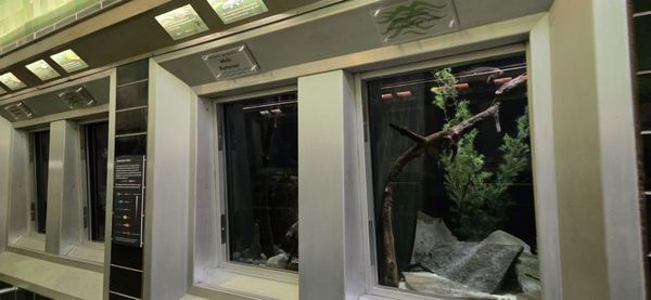 Belle Isle Aquarium by null