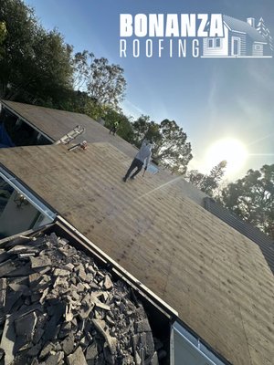 Bonanza Roofing