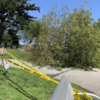 San Leandro Marina - Construction 5/4/19 - Parks Near Me - San Leandro, California San Leandro Marina - Construction 5/4/19 - Parks Near Me - San Leandro, California