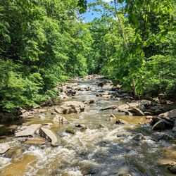 Rock Creek Park - Instagram: @telephonesmoothie