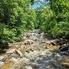 Rock Creek Park gift card