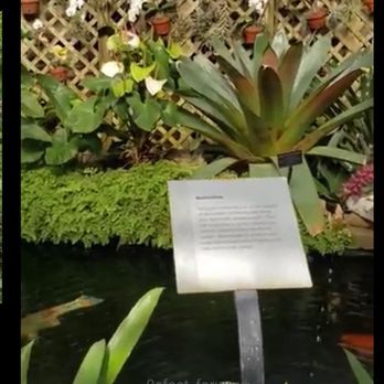 Lincoln Park Conservatory - Stands with descriptions of the flower/plant youre looking ay - Parks Near Me - Chicago, Illinois