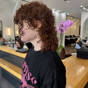 Collective Hair - Tailored curly cut - Hair Salons Near Me - Houston, Texas Collective Hair - Tailored curly cut - Hair Salons Near Me - Houston, Texas