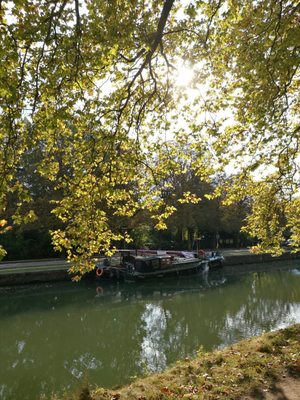 Parc de la Citadelle by null