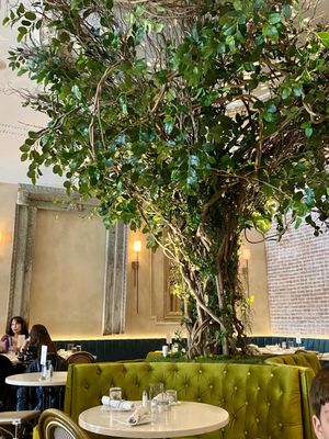 Frida's Mexican Cuisine by null