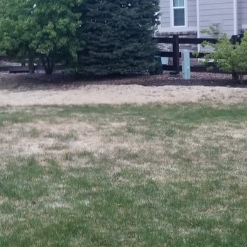 Mile Hi Services - Back Yard AFTER Mile HI 1 - Lawn Services Near Me - Denver, Colorado