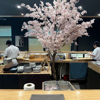 Kinzo - Sushi Bars Near Me - Frisco, Texas