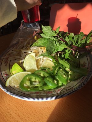 Pho Ca Dao by null