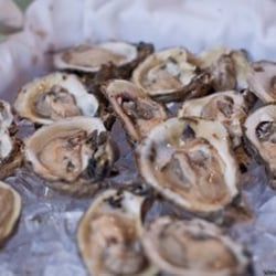 Blue Mountain Catering