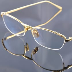 Friedrich's Optik Inc