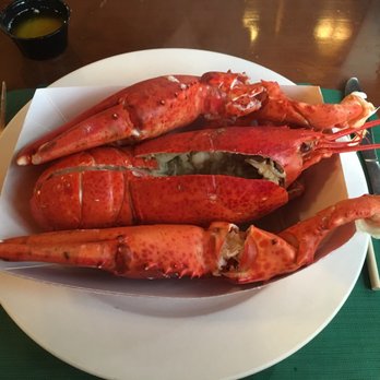 Ogunquit Lobster Pound - Boiled lobster - Seafood Near Me - Ogunquit, Maine Ogunquit Lobster Pound - Boiled lobster - Seafood Near Me - Ogunquit, Maine